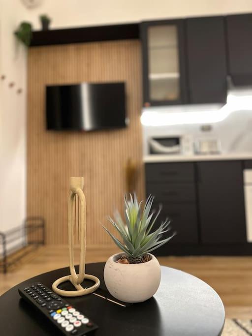 Apartmán La Casa Di Marlu - Gorgeous Flat In Catania Centre Exteriér fotografie